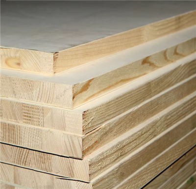 خصائص وتطبيقات خشب البتولا